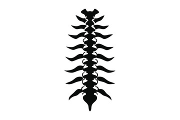 Isolated spinal column silhouette showcases detailed anatomical features, highlighting key bone structures with clarity