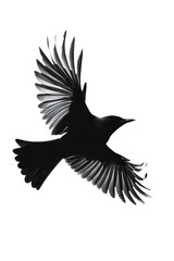 Isolated Black Bird in Flight