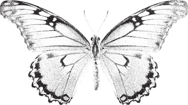 Black and White Xerox Effect Butterfly Vector Illustration Grainy Texture Insect Wings Wildlife Nature Design Element Vintage Retro Style Monochrome Art Print Poster T-shirt Design Decorative Graphic