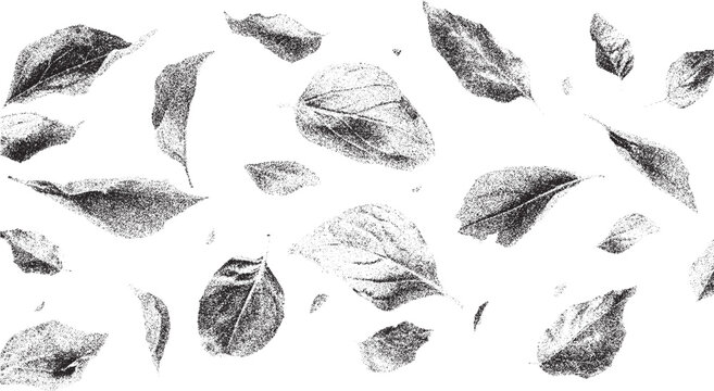 Black and white xerox effect of falling leaves vector background distressed stipple textured foliage autumnal theme monochrome leaf pattern vintage speckled halftone design element for banners