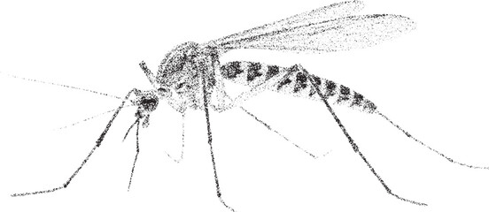 Black and white xerox effect vector mosquito illustration insect pest control malaria disease prevention dengue fever Zika virus west Nile virus encephalitis vector art graphic design isolated
