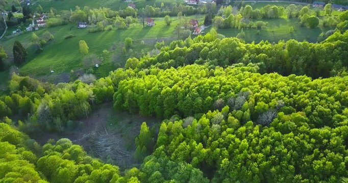 Aerial nature summer landscape flight over picturesque mountains forests meadows