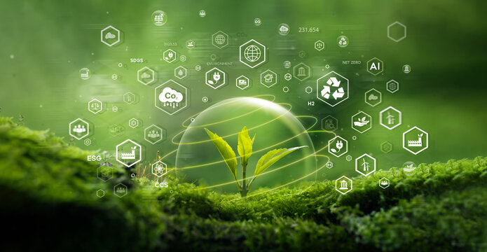 Seedling growing on moss with green forest icon - environment esg concept, ecology and sustainable environment of the world. Eco-friendly green business. ecology, earth day, csr and net zero