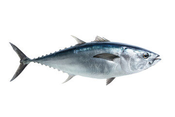 Fototapeta premium Fresh Raw Tuna Fish isolated on transparent background vector Culinary concept of seafood, healthy eating, and sushi ingredient
