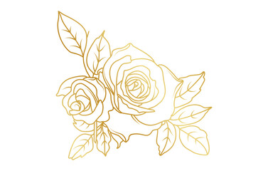 Golden rose flowers line art isolated on white background. Luxury roses floral design elements for invitation, wedding, wallpaper, print template, vector illustration