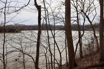 View of the lake from the forest on a cloudy winter day.