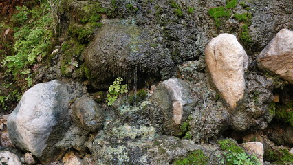 Rocks Mossy Surface Waterflow Natural Texture Macro View Green Brown. NatureEssence