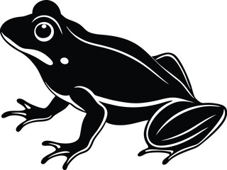 frog on white background