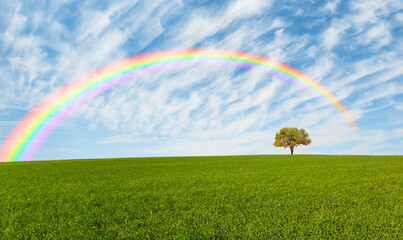 Beautiful landscape with green grass field and lone tree in the background amazing rainbow