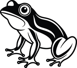 vector illustration of a frog