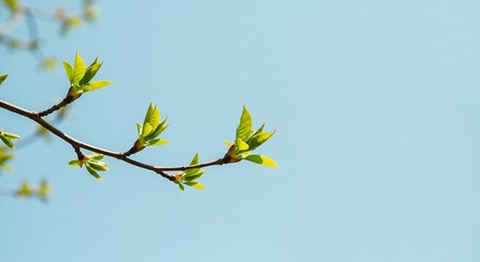 Obraz premium Awakening Spring