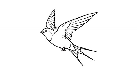Fototapeta premium Line drawing bird in flight