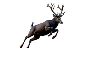 Obraz premium Majestic Dark Deer Leaping Gracefully in Night Dramatic Wildlife Photography Powerful Antlered Buck Jumping Black Background Elegant Animal Image art free woods