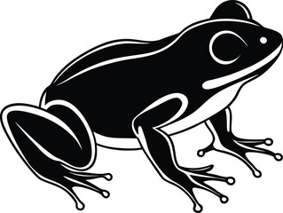 frog on white background