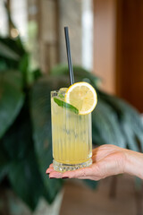 Close up view of a waitress serving a glass of lemonade with ice, a lemon slice, fresh mint, and a straw in hand.