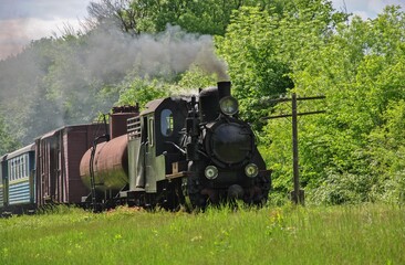 an old steam locomotive with carriages rides through the forest