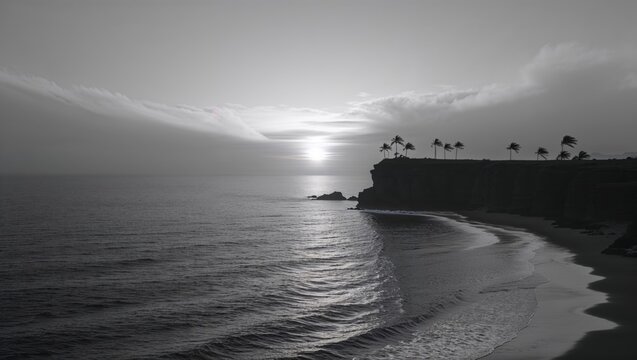 Dramatic black and white coastal scene at sunset. Palm trees silhouette against a cloudy sky, ocean waves gently lapping the shore. - Powered by Adobe