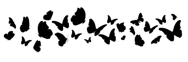 Butterfly silhouettes. Butterflies in different poses. Ideal for spring, summer designs, invitations