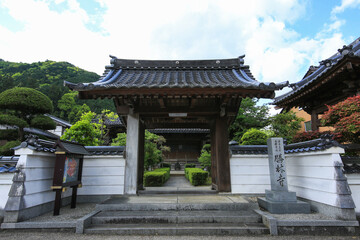兵庫県勝岡市　勝林寺の風景