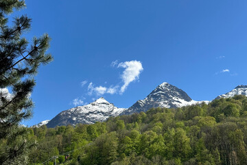 Mountains. Snow-capped mountain peaks rise above a massif of lush greenery and a cable car, cedar branches in the foreground.