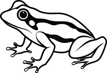 Frog Silhouette Vector Illustration In White Background