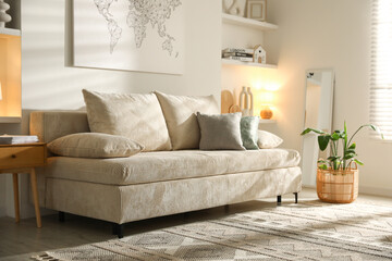 Comfortable sofa with pillows and houseplant in living room