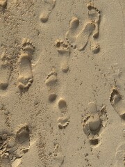 Footsteps mark on the sand at the beach