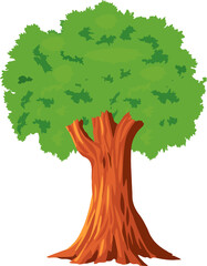 Obraz premium green tree isolated on white background or PNG