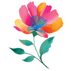 watercolor flower isolated on white background