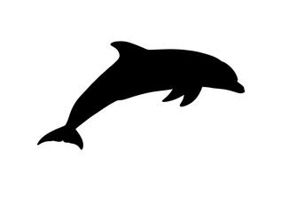 Fototapeta premium Dolphin silhouette jumping isolated on transparent background
