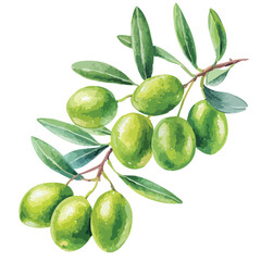 green olives with leaves
