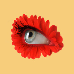 Red flower with eye inside on pale orange background. Creative collage
