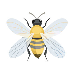 Bee: The Diligent Pollinators of Nature