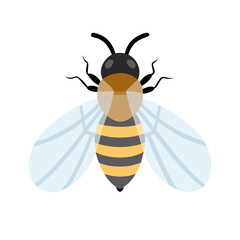 Bee: The Diligent Pollinators of Nature