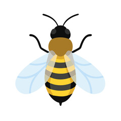 Bee: The Diligent Pollinators of Nature