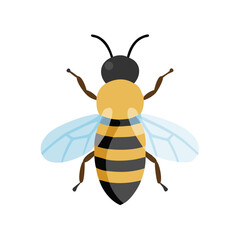 Bee: The Diligent Pollinators of Nature