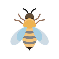 Bee: The Diligent Pollinators of Nature
