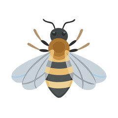 Bee: The Diligent Pollinators of Nature