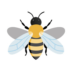 Bee: The Diligent Pollinators of Nature