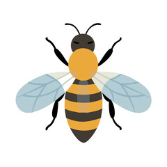 Bee: The Diligent Pollinators of Nature