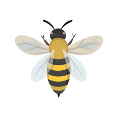 Bee: The Diligent Pollinators of Nature