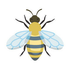 Bee: The Diligent Pollinators of Nature