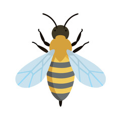 Bee: The Diligent Pollinators of Nature