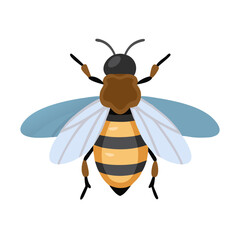 Bee: The Diligent Pollinators of Nature