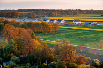 Spring green fields at sunset with blooming rapeseed seen from above. Yellow flowers in the meadow, Gliwice, Poland.