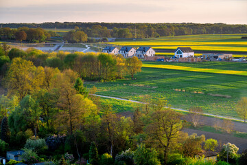 Picturesque Aerial Landscape Yellow Fields