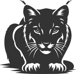 Vector animal silhouette of a bobcat