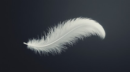 Isolated Fluffy Feather Floating Against a Simple Gray Background