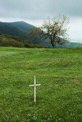 Tree and Cross under Cloudy Sky