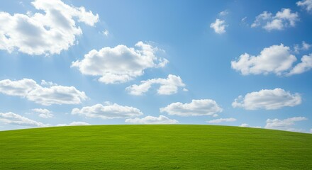 Fototapeta premium green field and blue sky